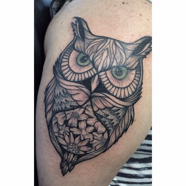 Owl