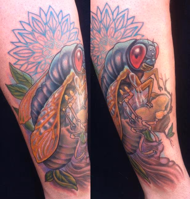 Cicada Molting Tattoo