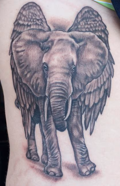 Elephant tattoo