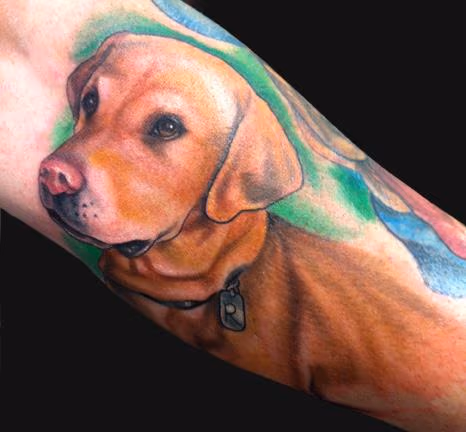 Yellow Lab Tattoo