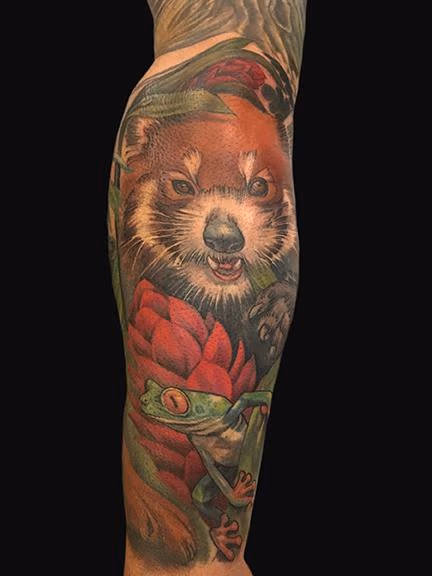 Red Panda and Tree Frog