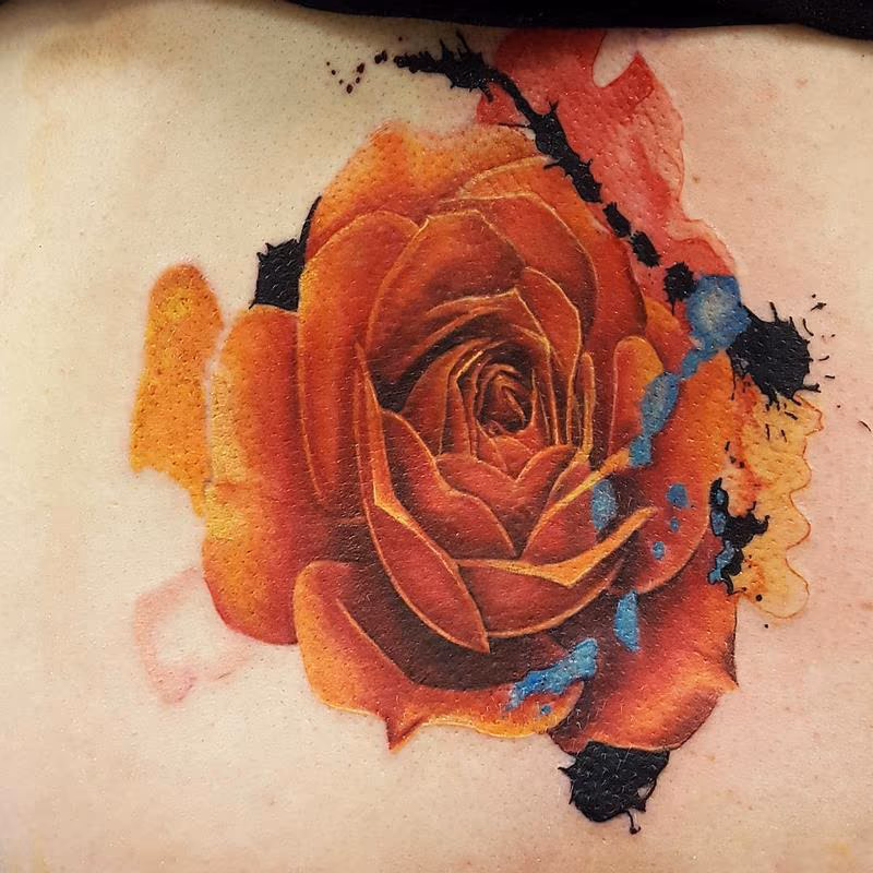 Rose watercolour