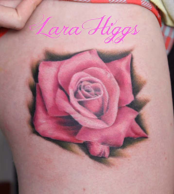 Realistic pink rose