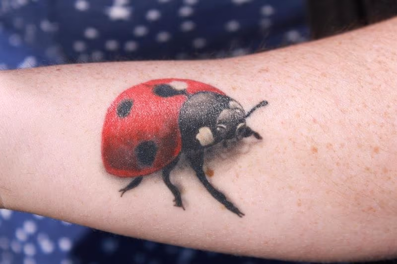 Color Ladybug Tattoo
