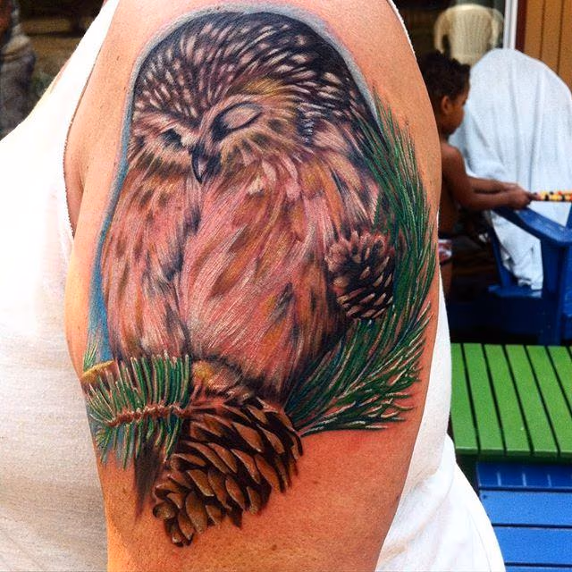 Owl
