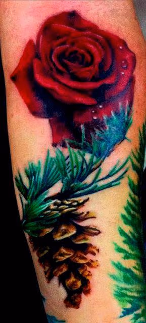 rose and pinecone