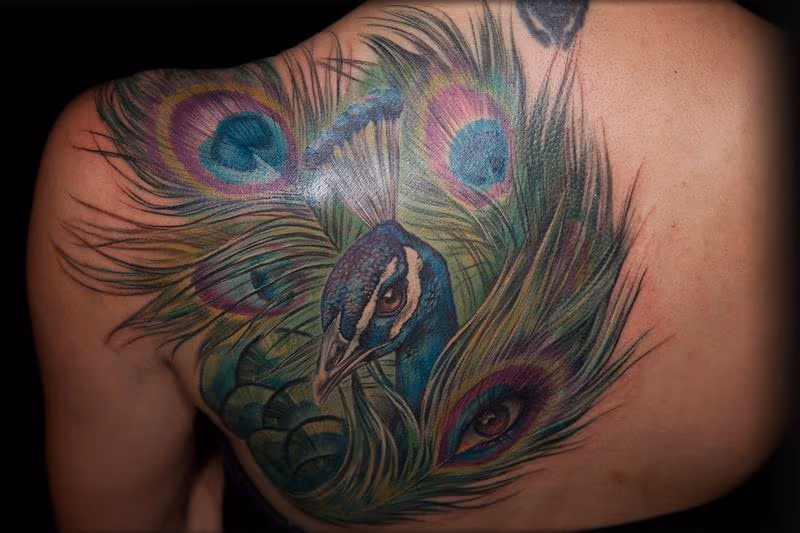 peacock