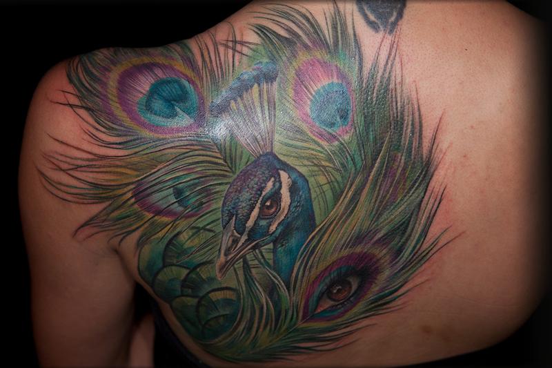 peacock