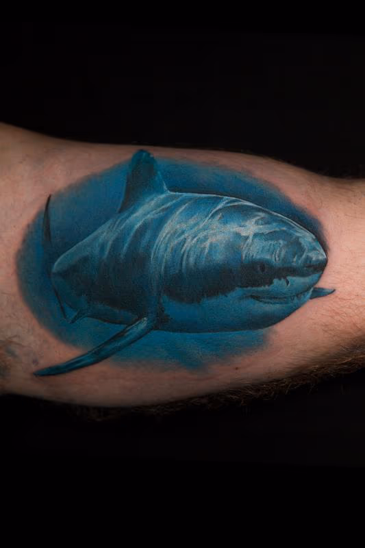 shark