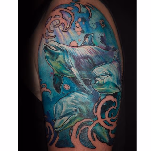 Dolphin