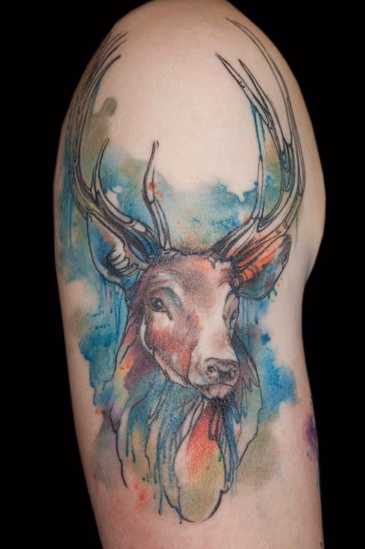 Watercolour stag