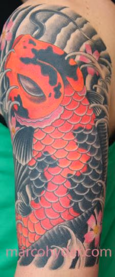Koi fish