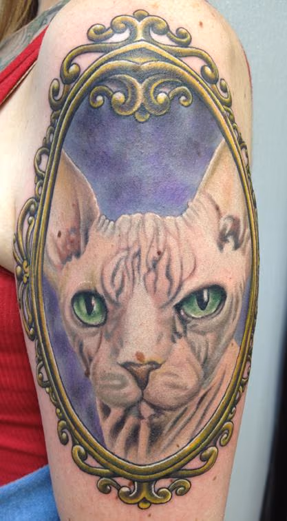 Bald kitty