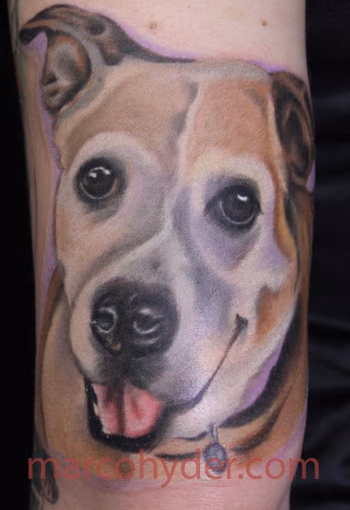 Dog Portrait Color