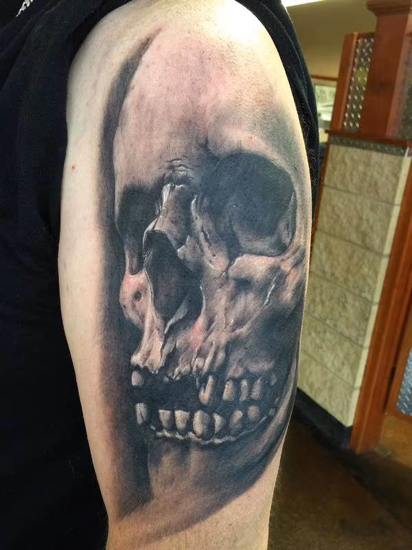 Black and Gray Skull