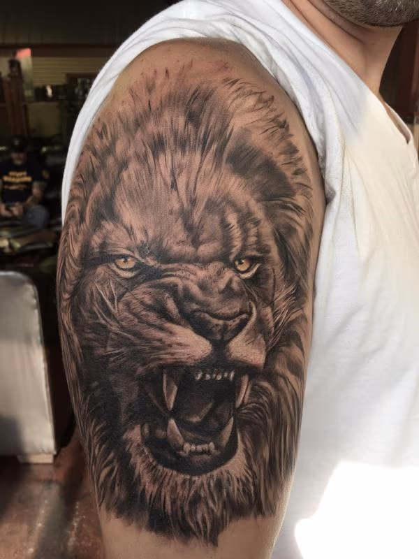 Lion Portrait