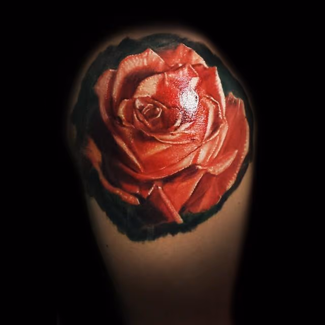 Rose
