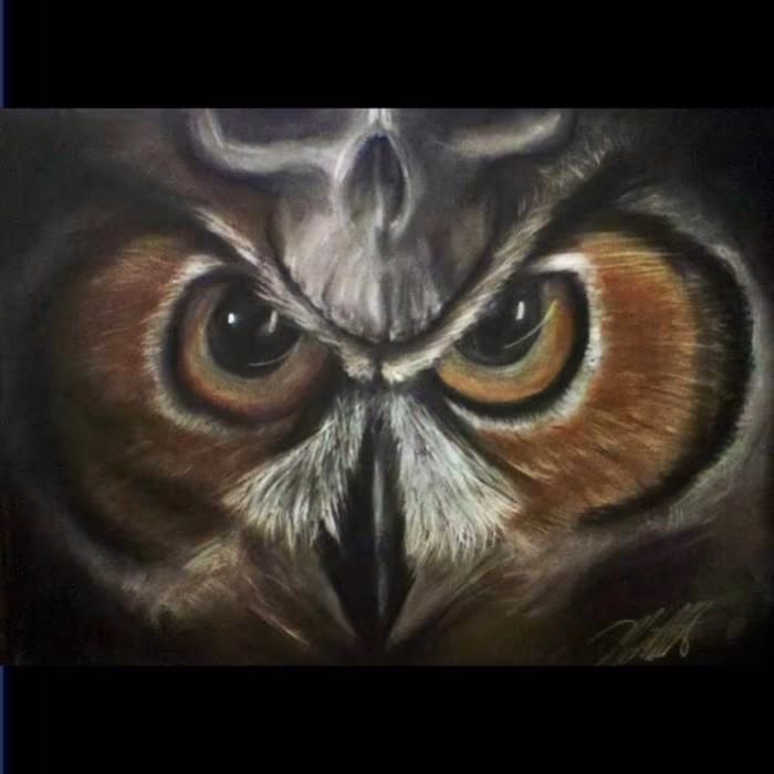 Owl