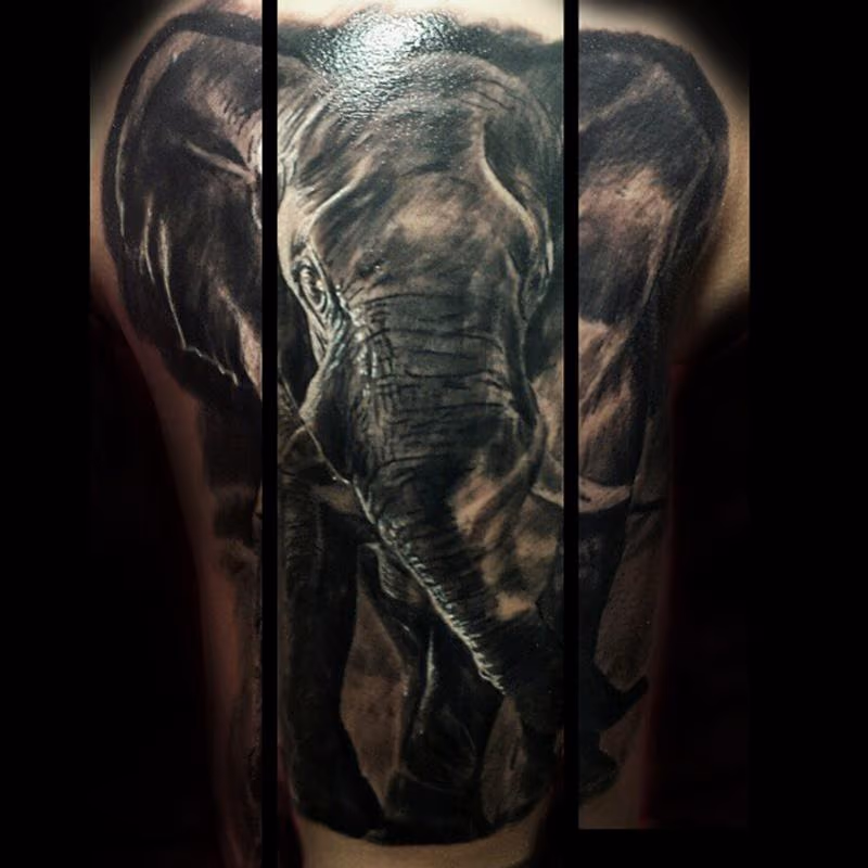 Elephant
