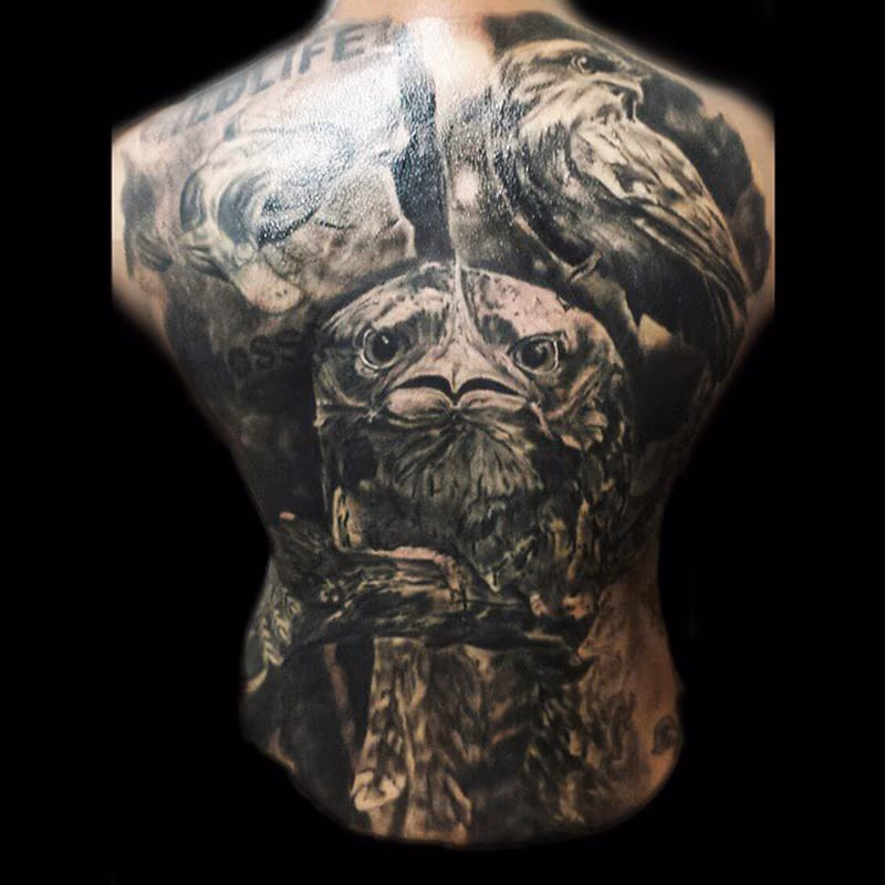 Tawny Frogmouth Back piece