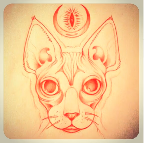 Sphynx Cat