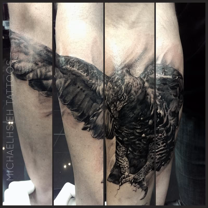 African Crown eagle