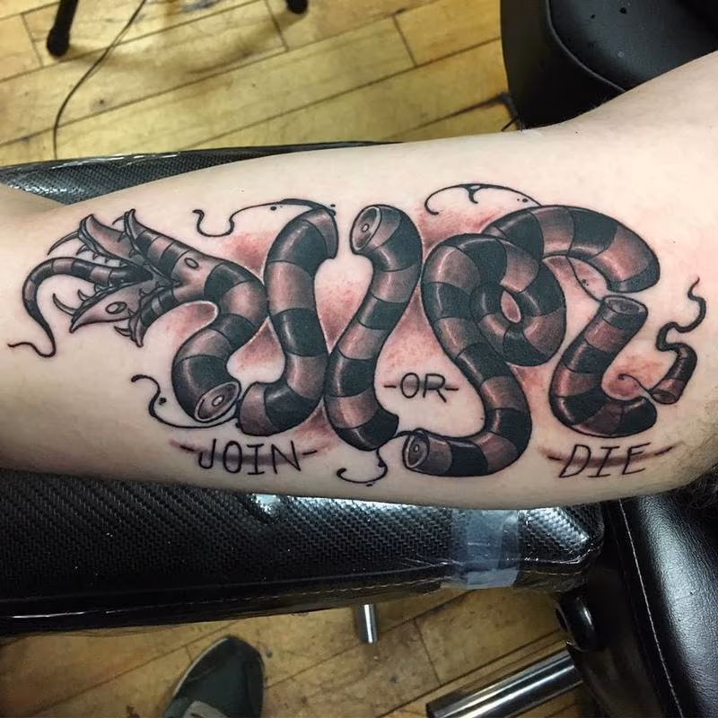 Benjamin Burton snake