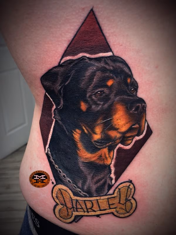 Rottweiler
