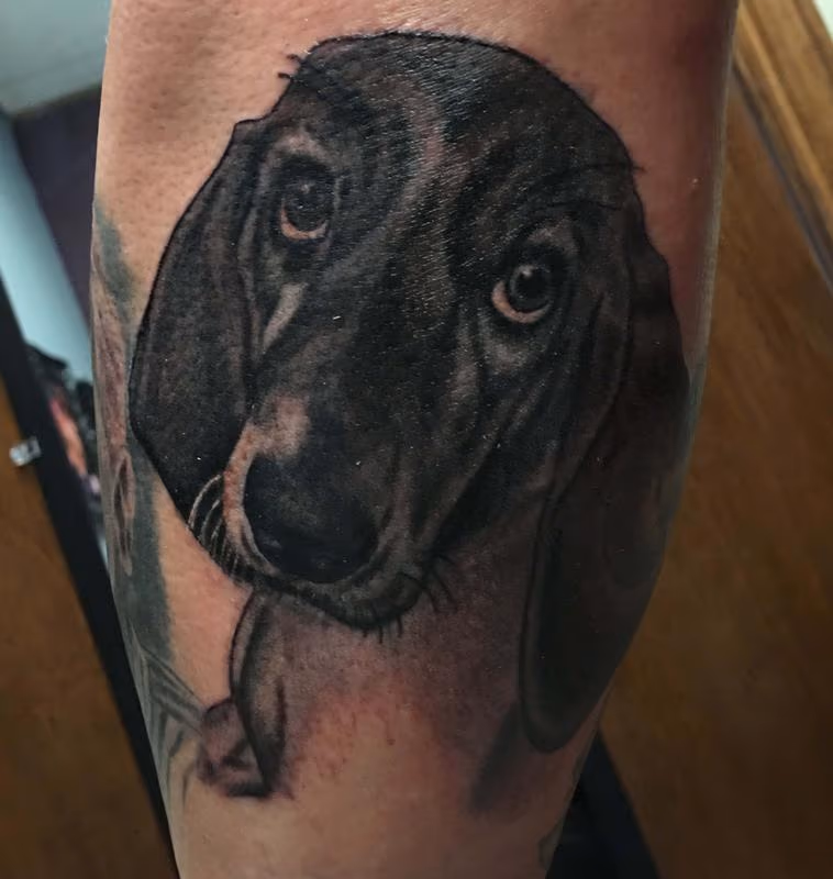 puppy dog