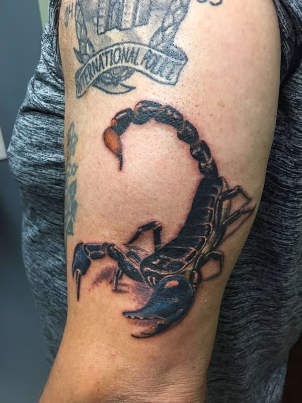 scorpian