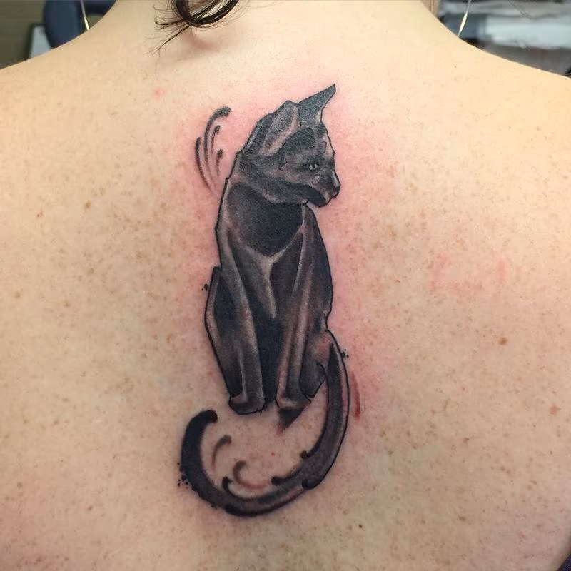 abstract cat