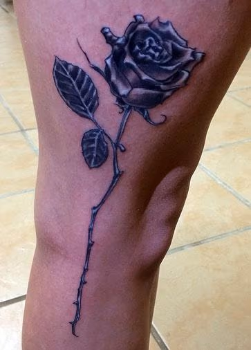 long stem rose