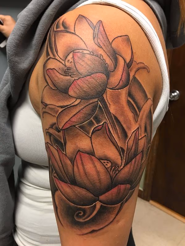 lotus flower