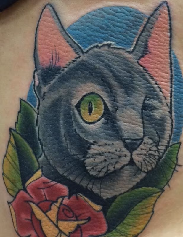rosie the one eyed cat