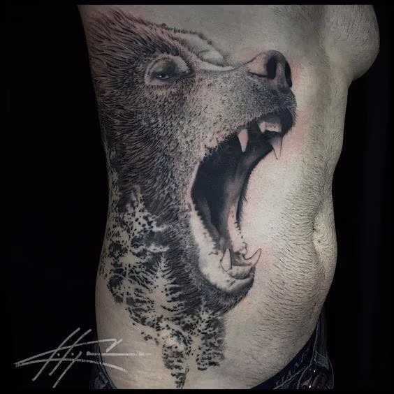 Grizzly Bear