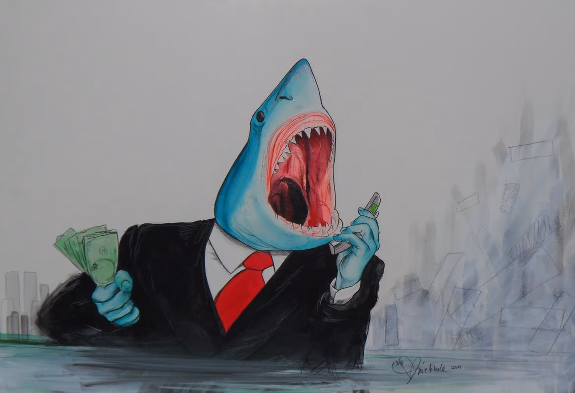 Shark