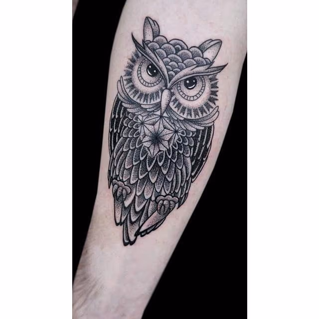 Moody Owl