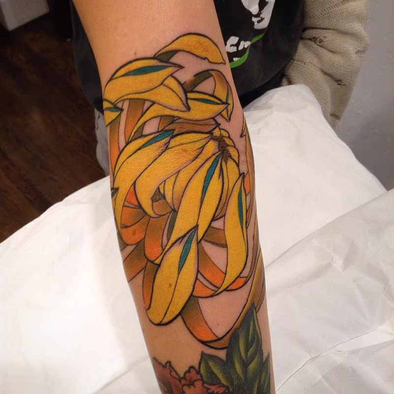 Chrysanthemum