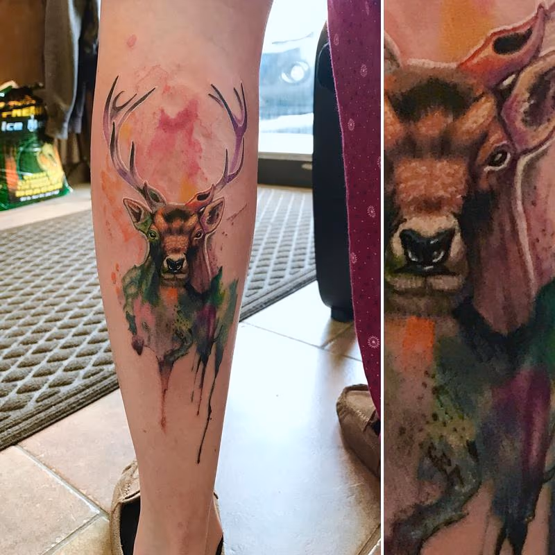 watercolor deer