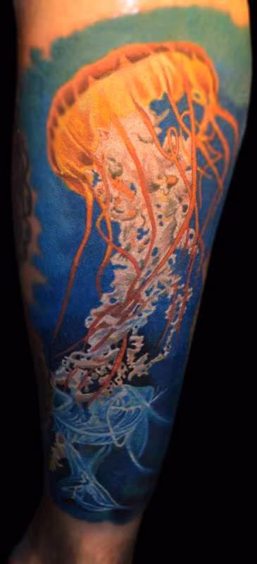 Jellyfish