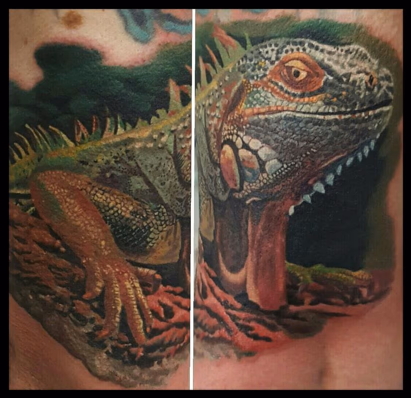 Iguana