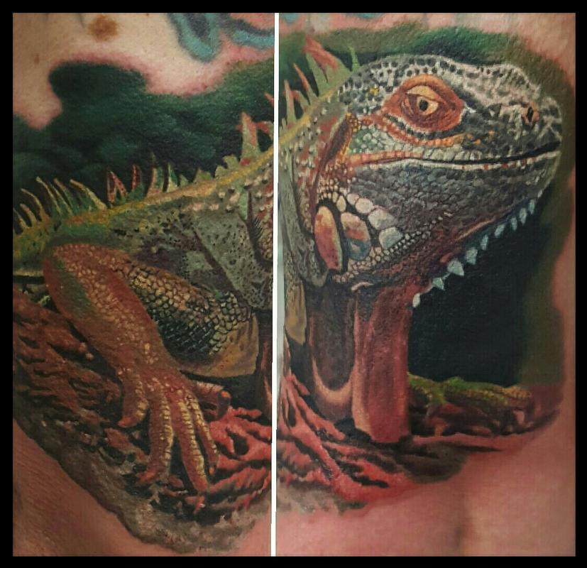 Iguana