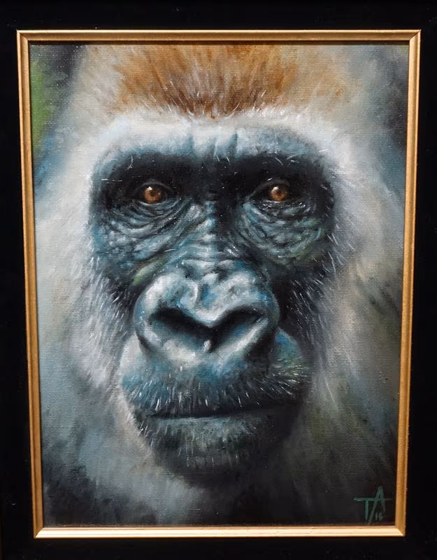 Gorilla