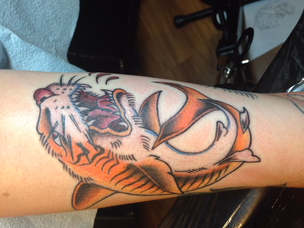 Tiger Shark