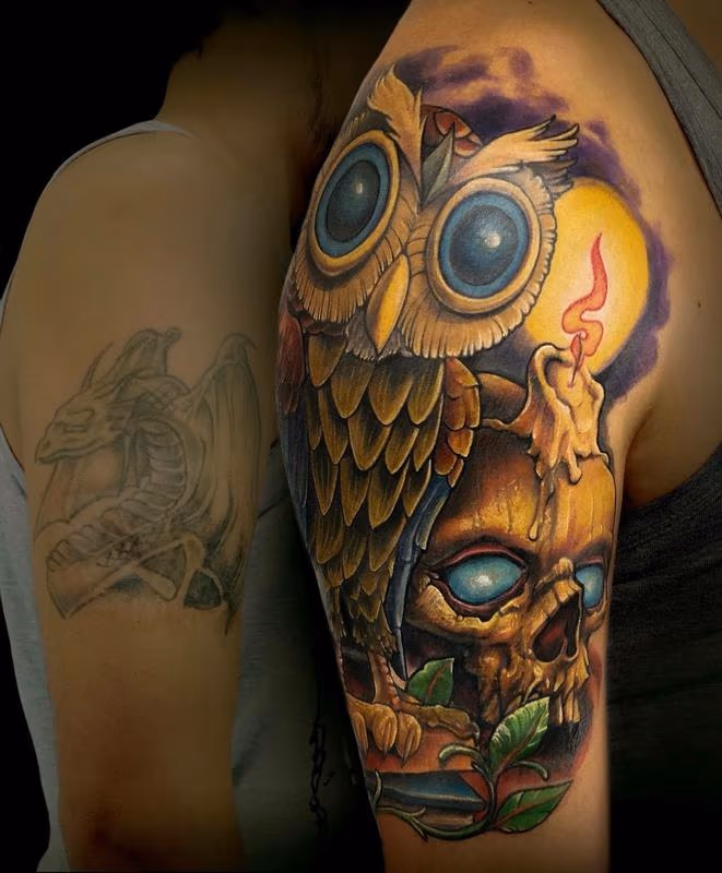 Owl coverup