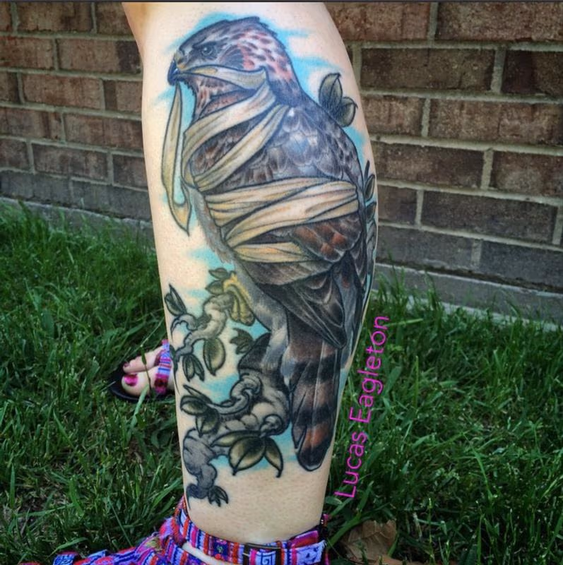 Bandaged Hawk