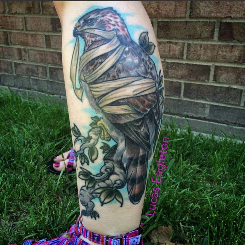 Bandaged Hawk