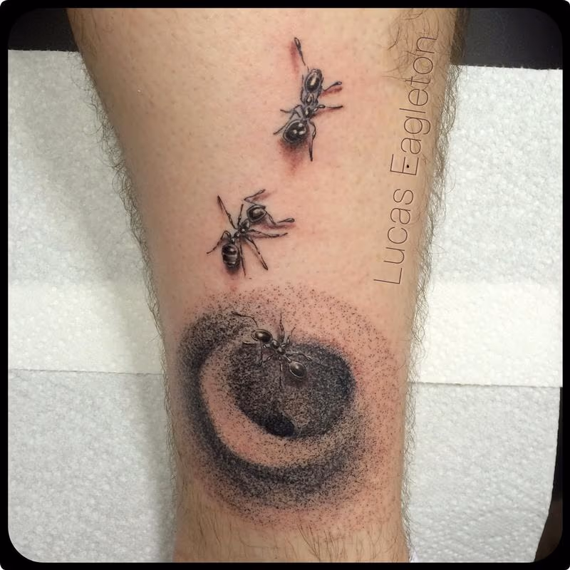 Ants