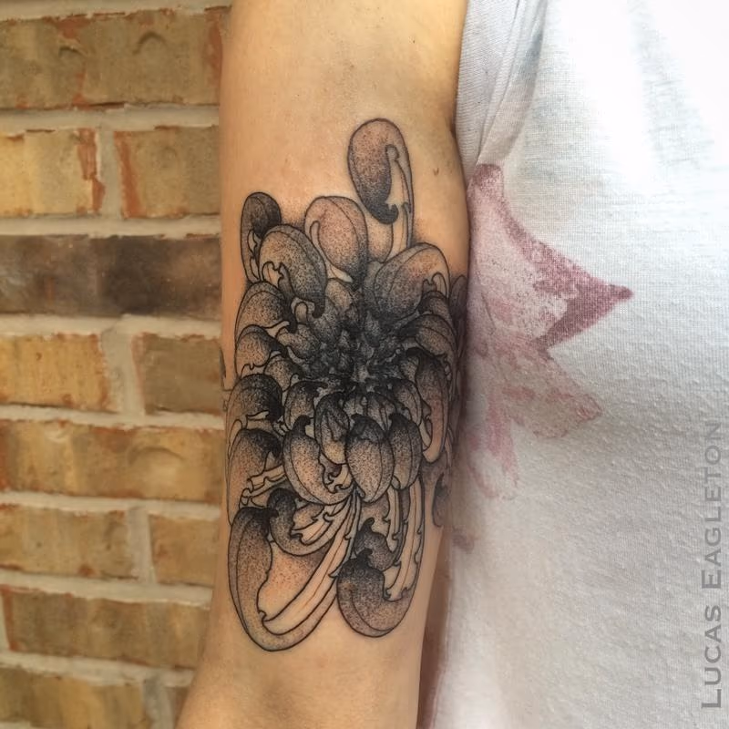 Chrysanthemum Flower Cover-up