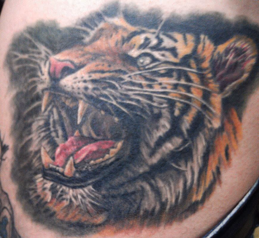 tiger head